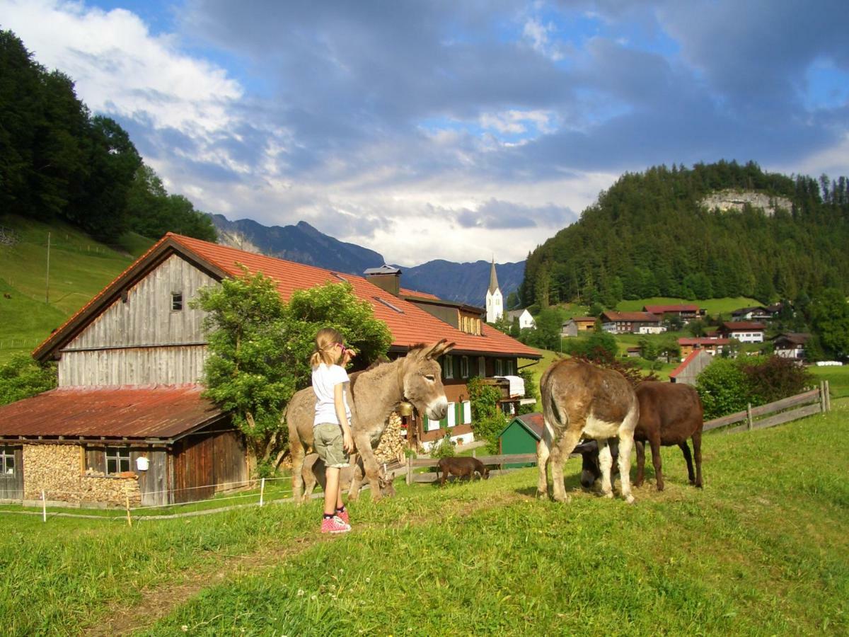 Haus Willi Apartamento Oberstdorf Exterior foto